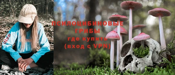mdpv Богородск
